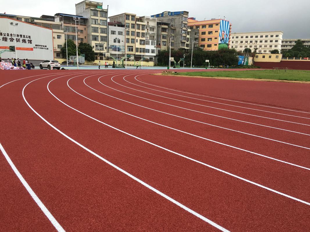 临夏回族自治州学校塑胶跑道塑胶跑道材料 - 哪里好